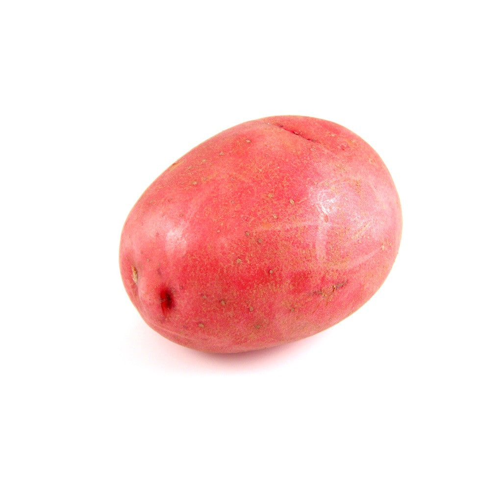 Jersey Fresh Red Potato