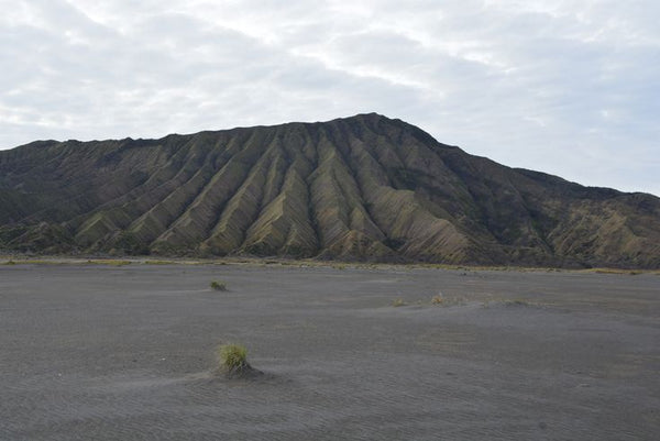 gunung widodaren bromo