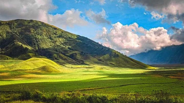 pemandangan padang savana di gunung bromo