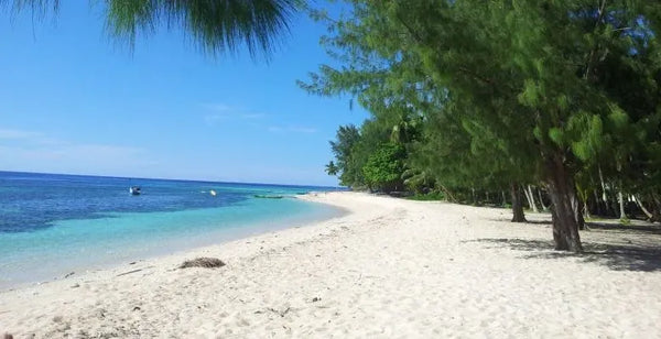 pemandangan pantai cemara