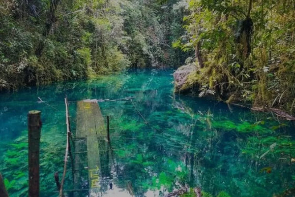 pemandangan danau ayamaru yang jernih