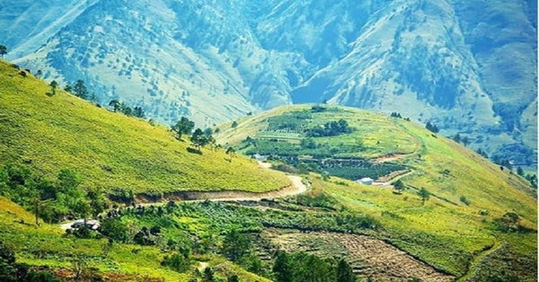 pemandangan gunung pusuk buhit