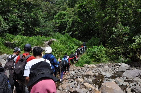 para pengunjung sedang melakukan hiking menuju ke desa wae rebo