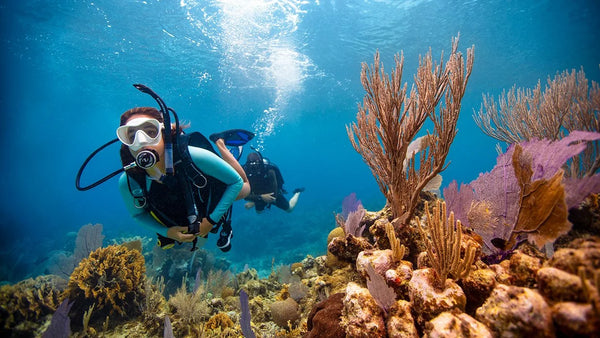 dua orang sedang melakukan snorkeling