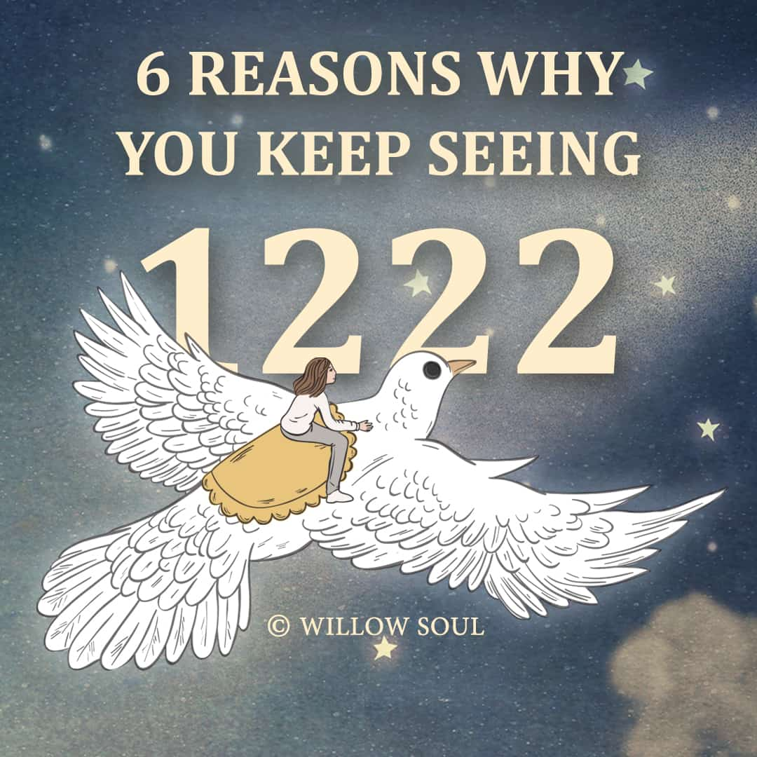 6-reasons-why-you-are-seeing-12-22-the-meaning-of-1222-willow-soul