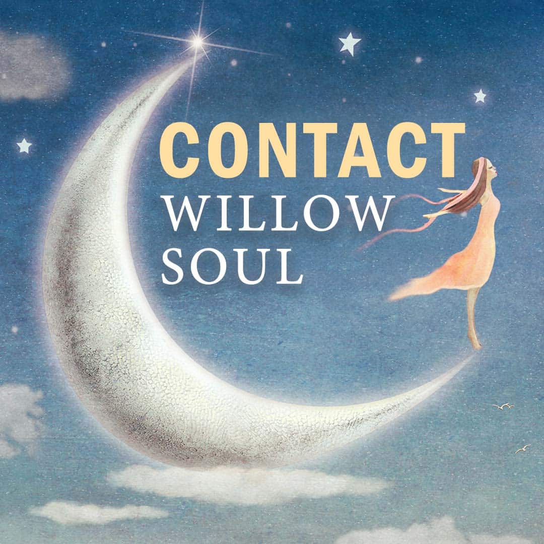 Contact Willow Soul