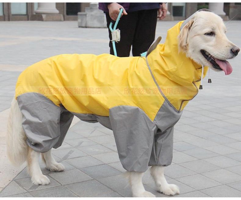 big dog raincoat