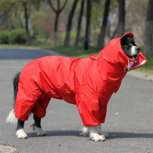 big dog raincoat