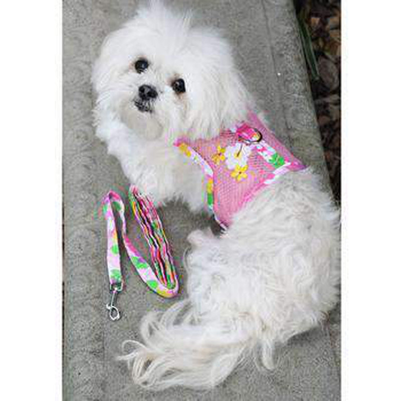 pink dog harness and leash