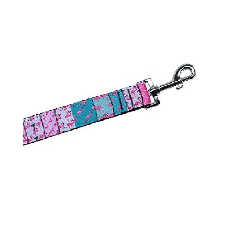 fun dog collars and leashes