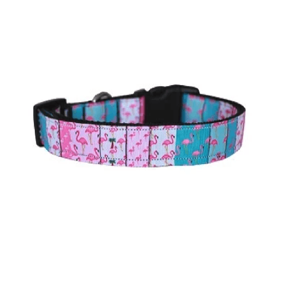 fun dog collars and leashes