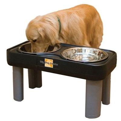 dog feeder height