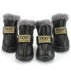 dog uggs boots