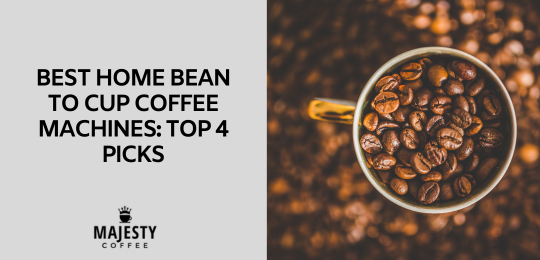 The Best Bean To Cup 