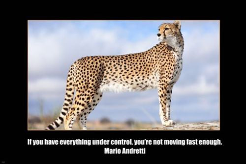 MARIO ANDRETTI self empowerment quote MOTIVATIONAL POSTER 24X36 cheeta ...