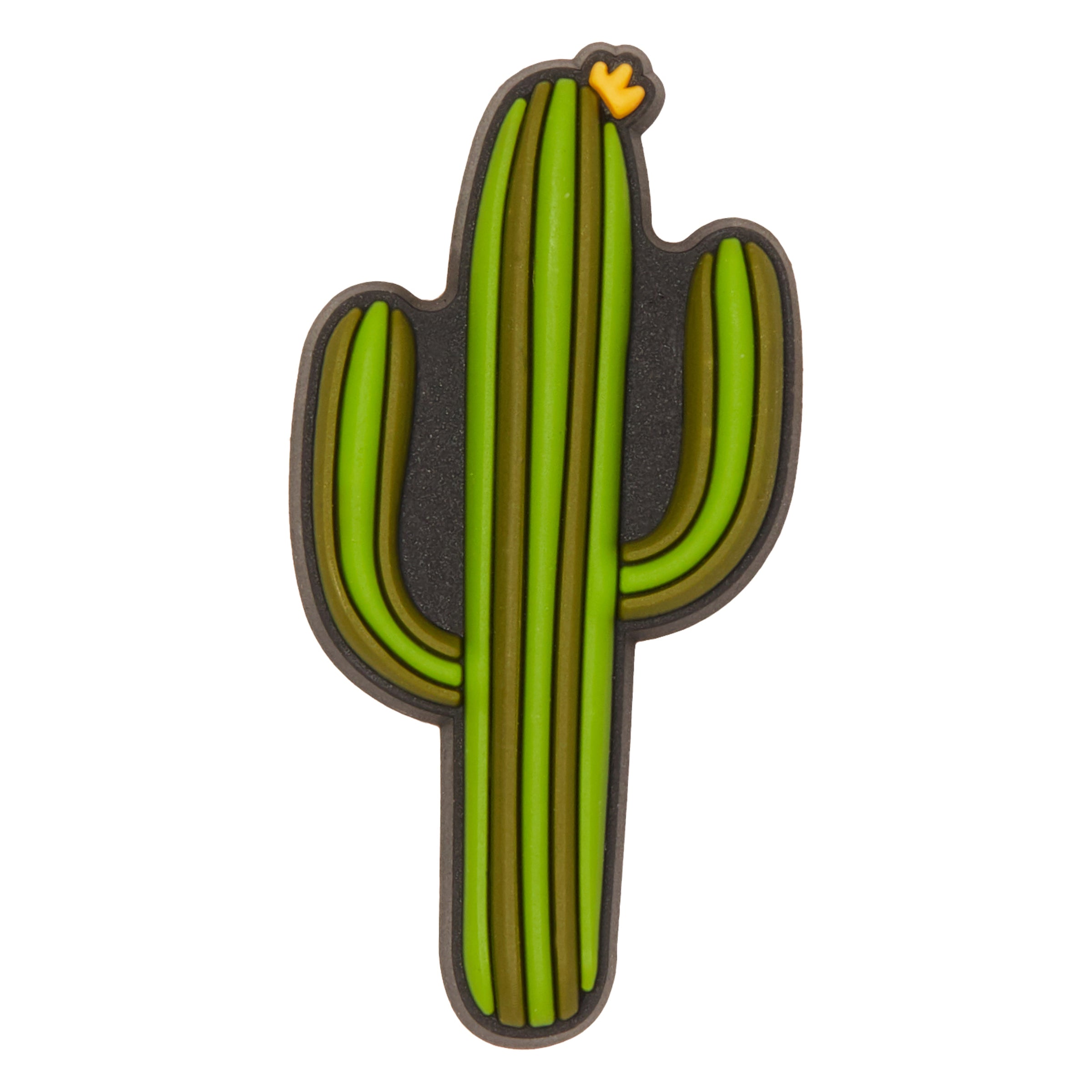 cactus croc jibbitz