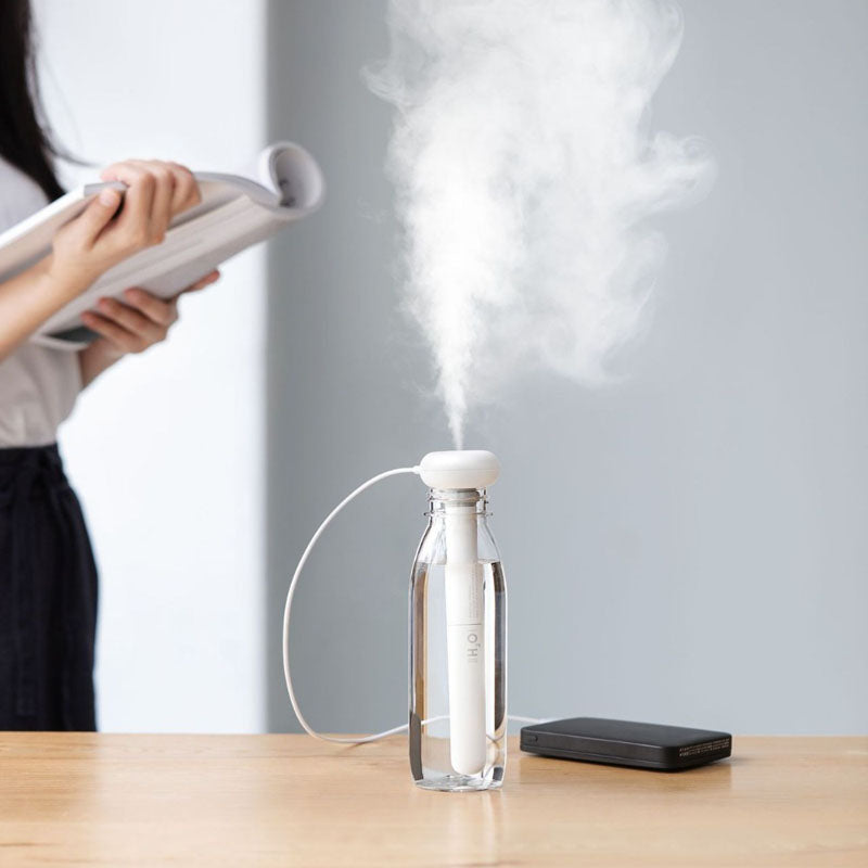 Bumi ultrasonic air humidifier