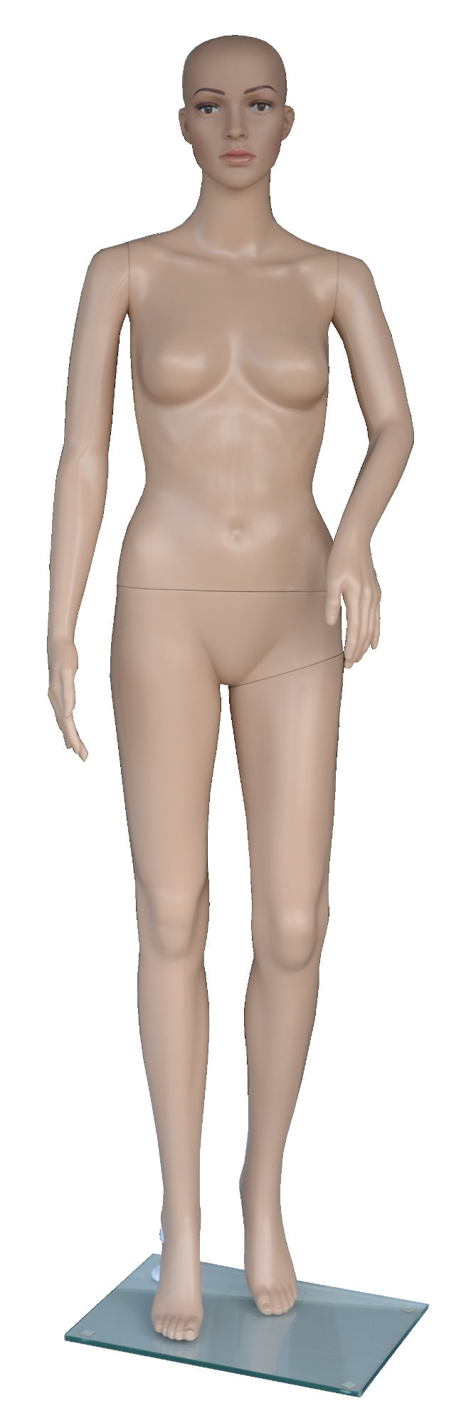 Male Pants Mannequin with Glass Base, Skin Tone, Plastic