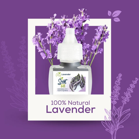 Yoga Wellness Yoga Studio Fragrance Recommendation 100% natural lavender