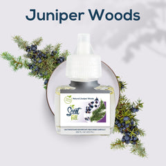 Scent Fill Gift Guide_Juniper Woods_Gamer