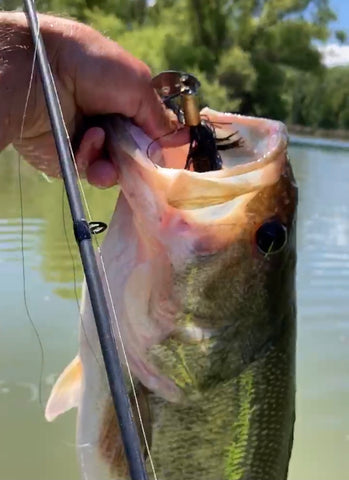 Bass on Bullet Lure by fishing armory