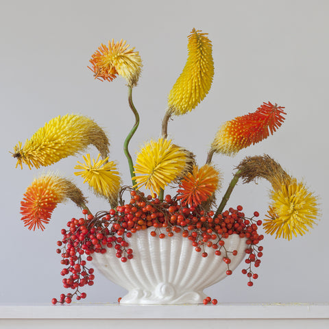 Red Hot Pokers and Berries