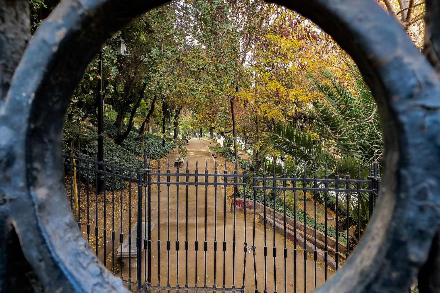 forest plants through the round stone door