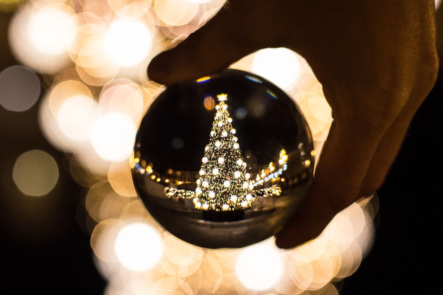 lighting Christmas tree in crystal ball