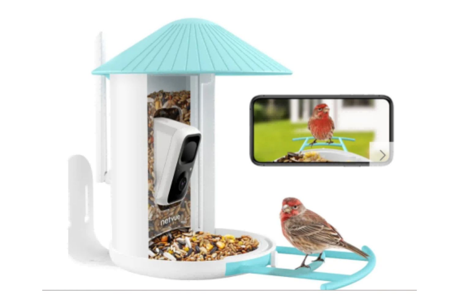 NETVUE Birdfy Lite Smart Bird Feeder Camera
