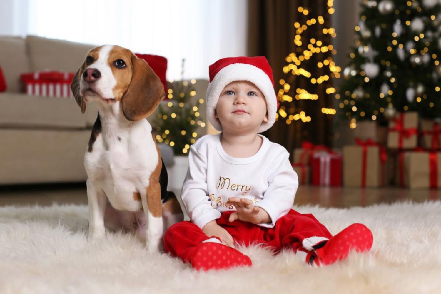 baby boy taking Christmas photo with his dog