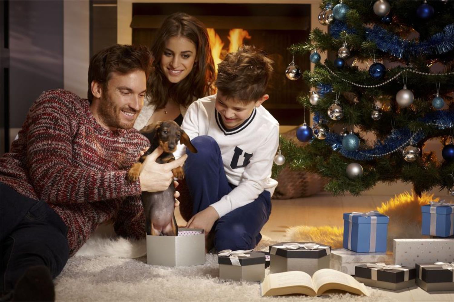 family playing with their puppy under Christmas tree