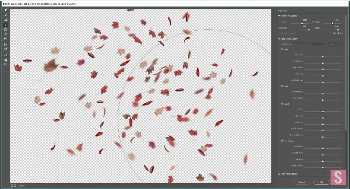 Tutorial of Leaves Photoshop Overlay