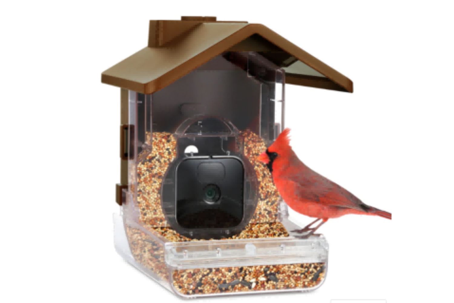  Chirp Cam Smart Bird Feeders for Outside: Squirrel Proof Bird  Feeder with Camera Solar Powered and Free AI Detection of 11,000+ Wild Bird  Species and Hummingbird Feeder: The Ultimate Bird