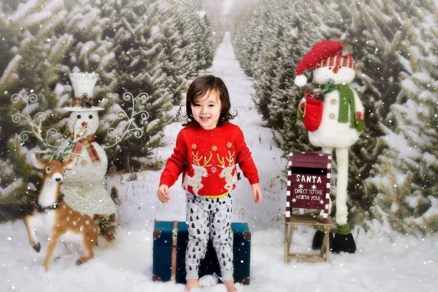 kid's photo with Kate Christmas Pine Tree Farm Path Backdrop for Photography