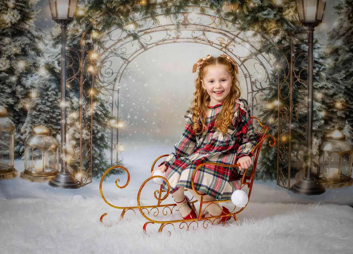 Image of Kate Winter Christmas Branch Arch Backdrop Designed by Emetselch