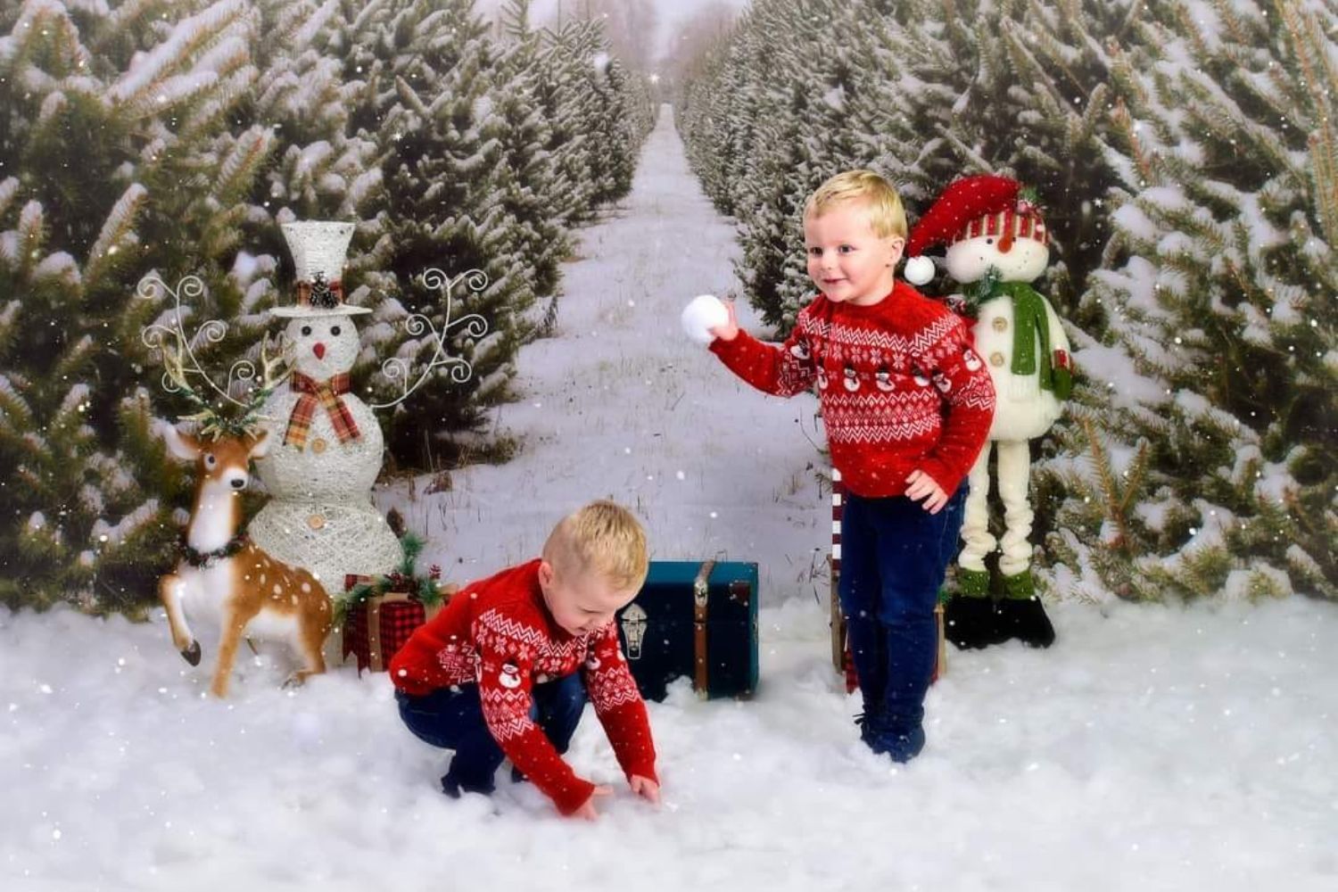 boys' Christmas photo with Kate Christmas Pine Tree Farm Path Backdrop for Photography