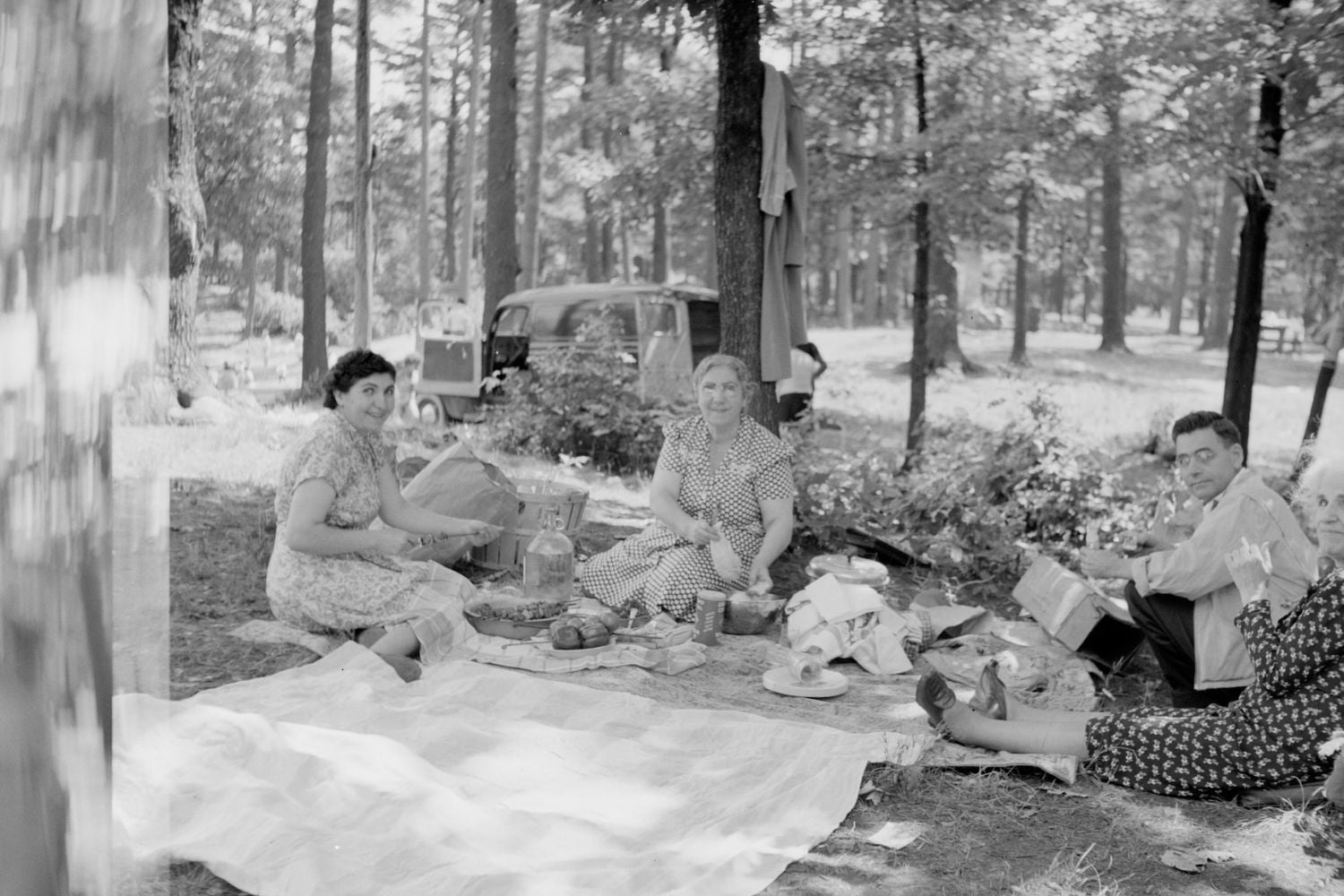 old friends' picnic in the forest