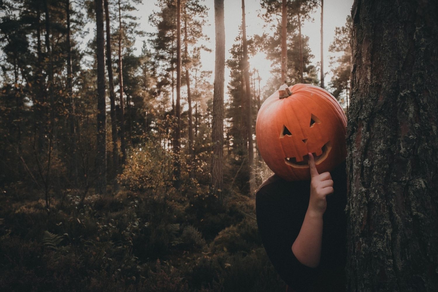 pumpkin head photo of a man leaning on the tree