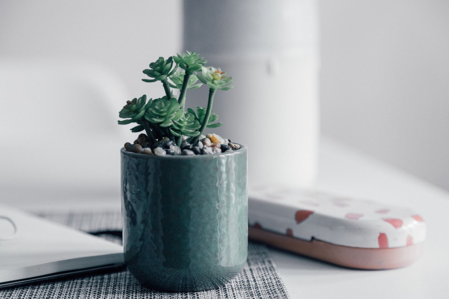 photo of a little plant on the desk by Nicolas J Leclercq on Unsplash