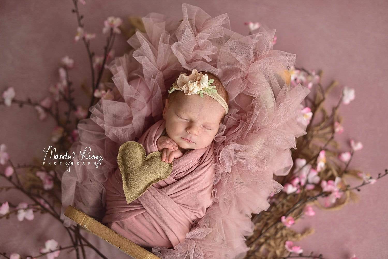 newborn photoshoot  in professional studio