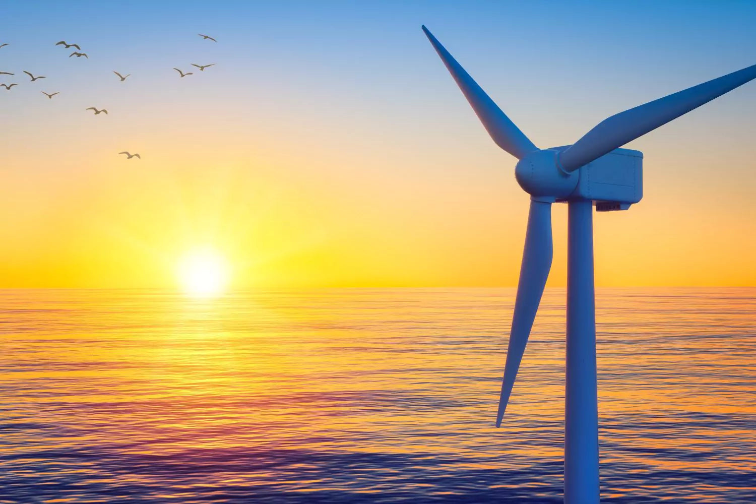 wind generator in the sea with far-flying seagull in sunset 