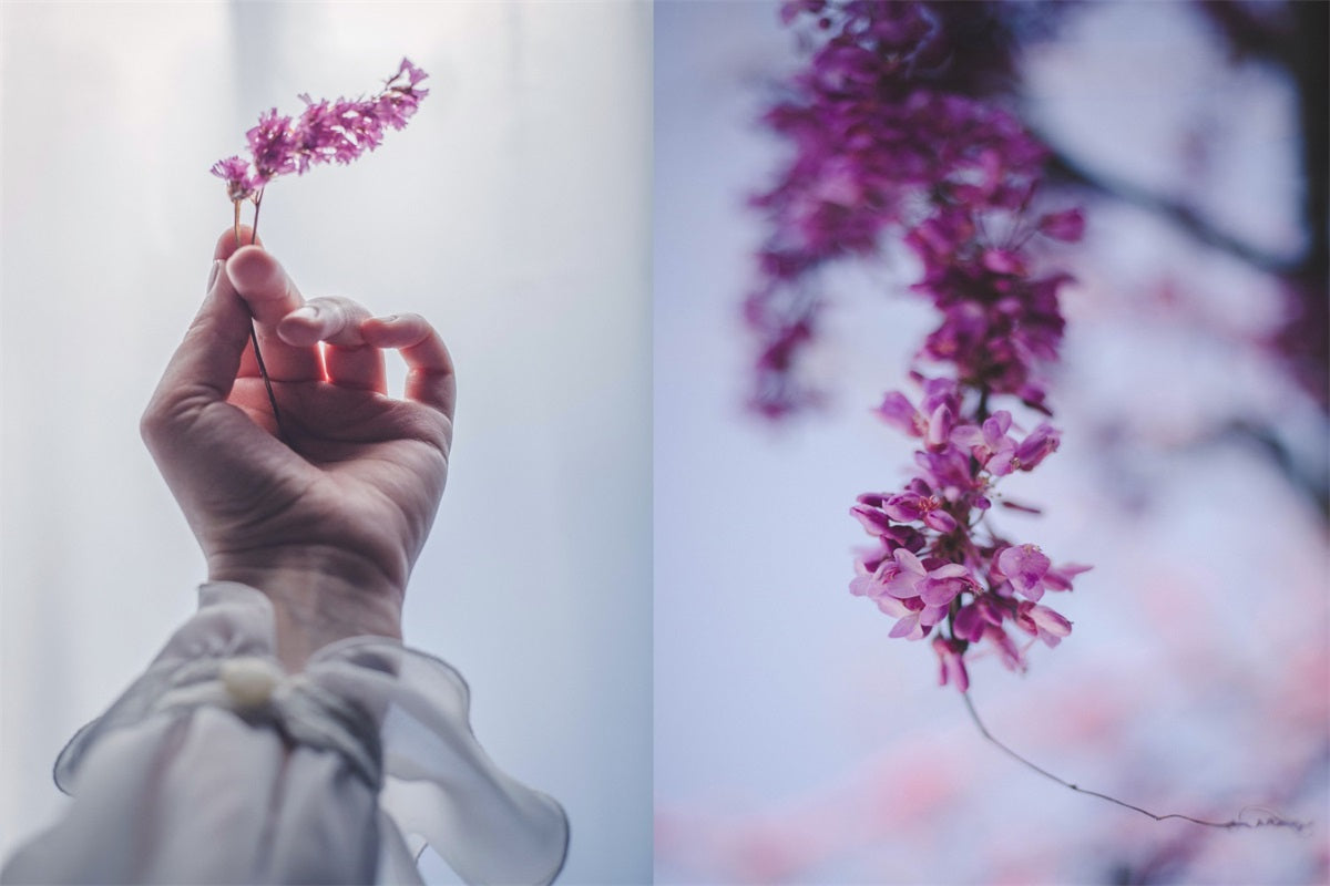 photos of flower branch holded by a hand and without