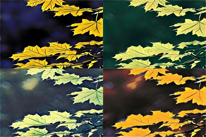 diptych photo of leaves