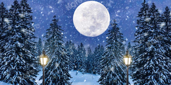 Kate Christmas Backdrop Park Moon Trees for Photography – Katebackdrop