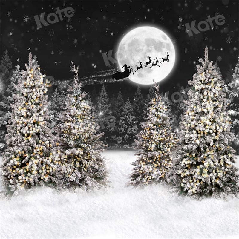 Snow Train Track Photography Backdrops Winter Night Moon Background Ba –  dreamybackdrop