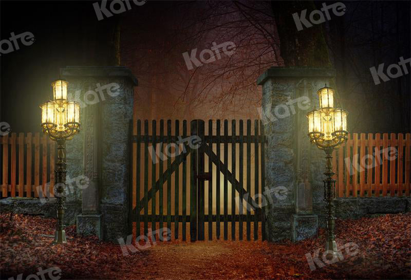 Ghost Castle Halloween Night Sky Backdrop for Photography SH-1070 –  Dbackdrop