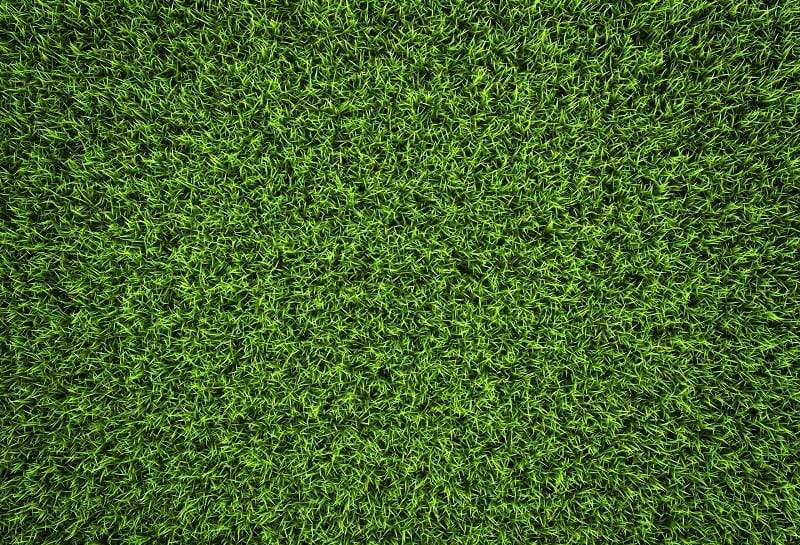 Kate Green Grass Backdrop Background Photos Outside Katebackdrop