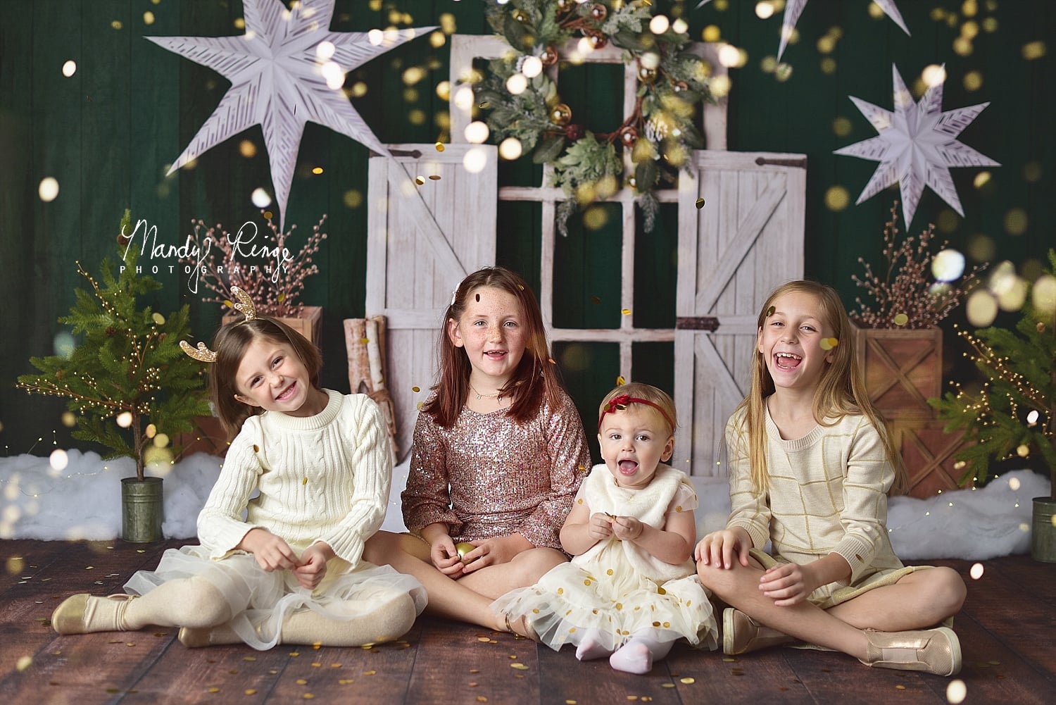 https://cdn.shopify.com/s/files/1/1619/4221/products/KateEvergreenChristmasHolidayBackdrop.jpg?v=1636354374&width=1500