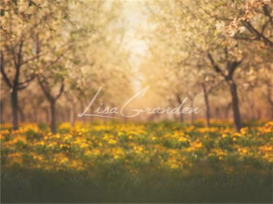 Katebackdrop£ºKate Springtime Orchard in Yellow Backdrop for Photography Designed by Lisa Granden