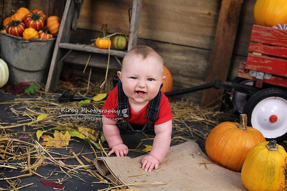 Kate Pumpkin Harvest Backdrop Autumn and Farm designed by Arica Kirby –  Katebackdrop